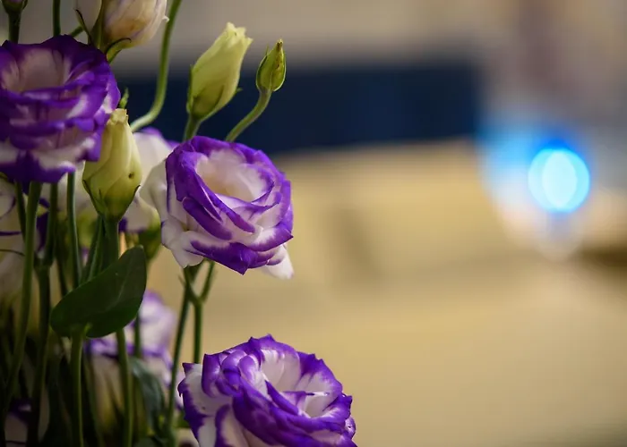 Hotel Celso 14 Palermo